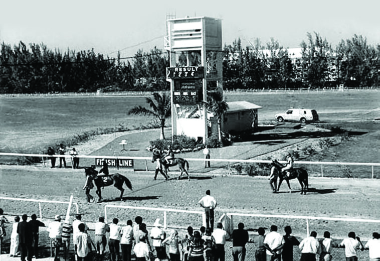 The Hobby Horse Race Track